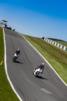 Middle Group White Bikes